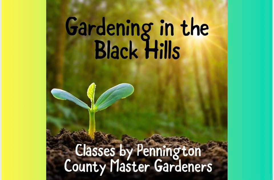 Gardening in the Black Hills - Garden Insects & Raised Beds