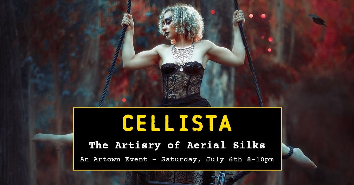 Cellista Featuring the Artistry of Aerial Silks at Reno Public Market