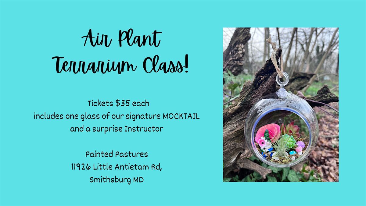 Painted Pastures Air Plant Terrarium Class