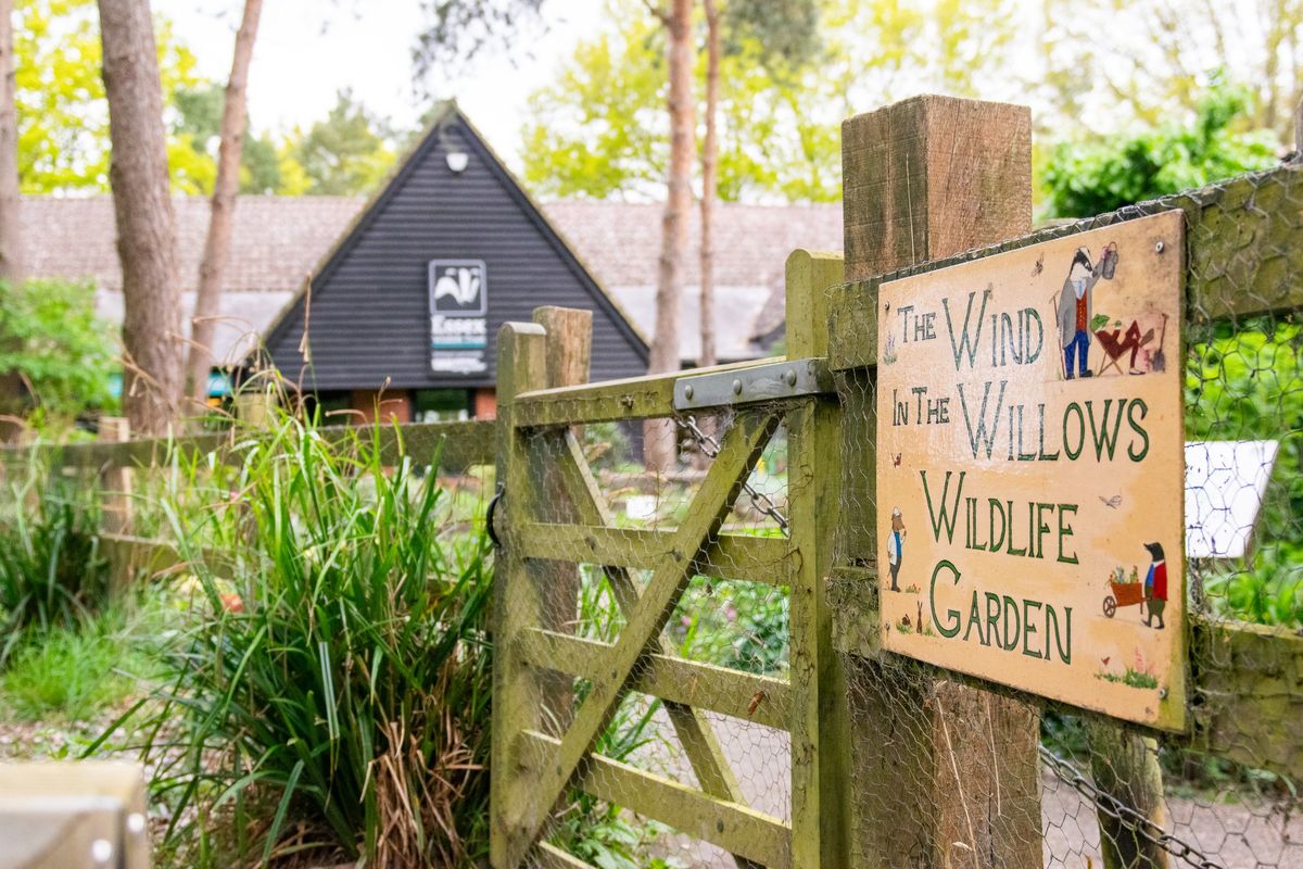 Hanningfield Friday Nature Tots