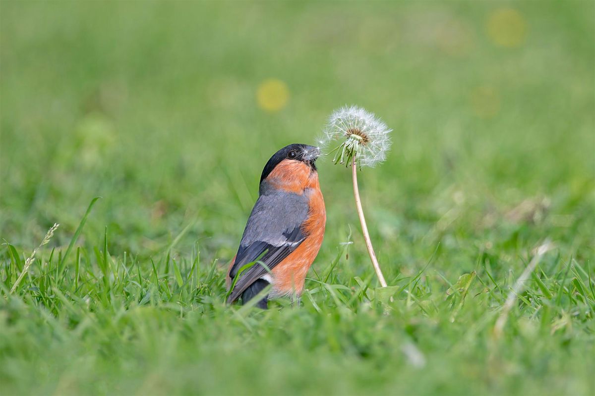 Beginners Wildlife Photography Workshop