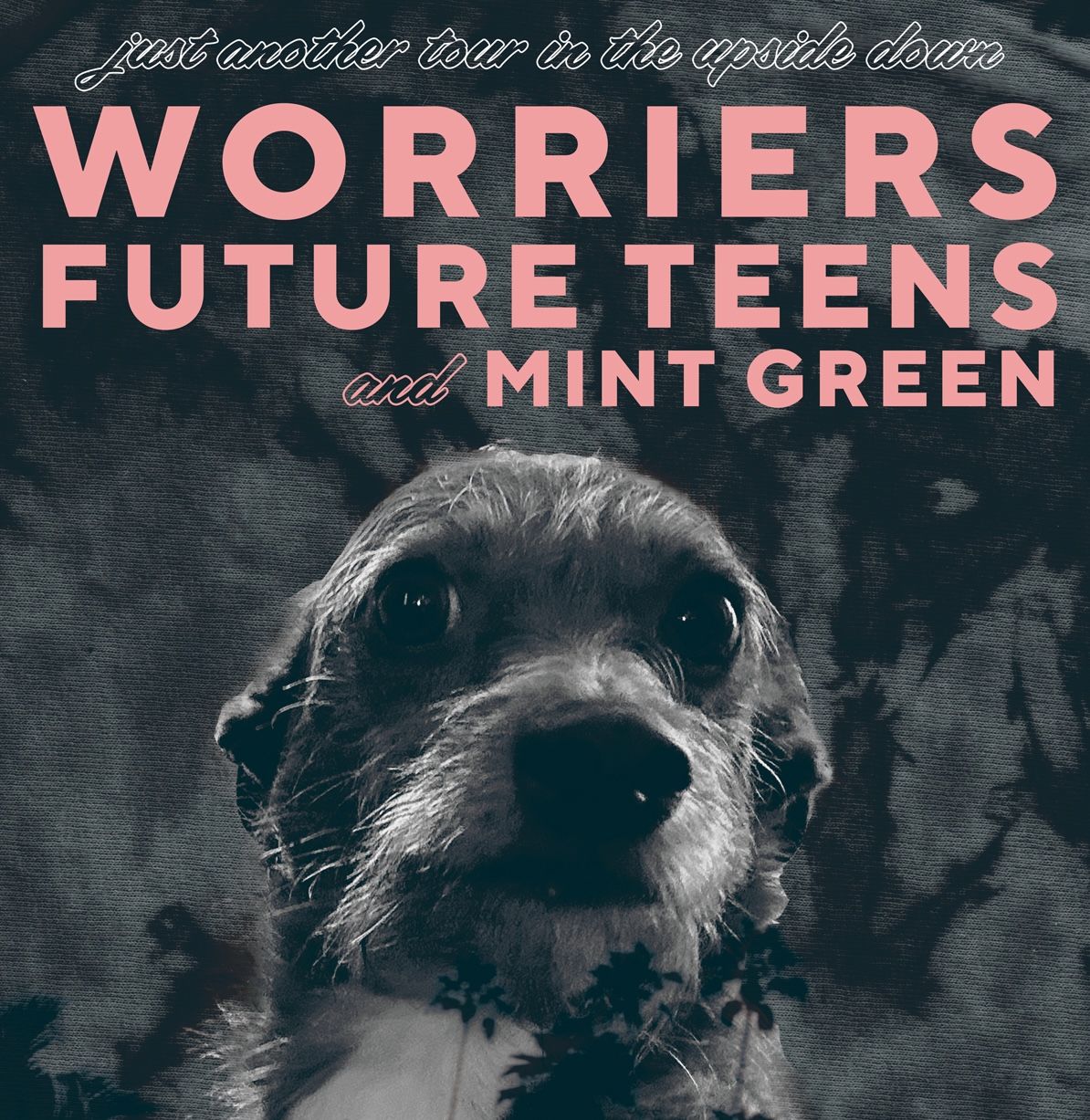 Future Teens & Worriers - May 14 at Rec Room