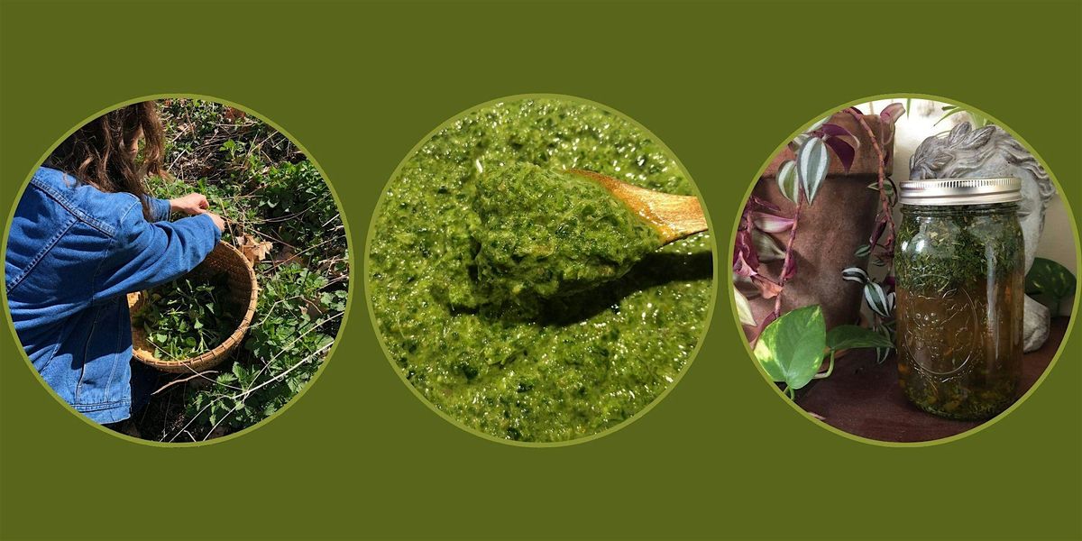 Kitchen Medicine : Spring Greens + Roots Herbal Workshop