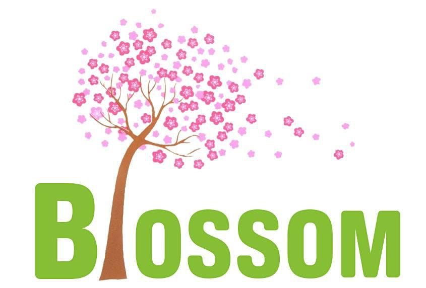 Blossom's young girls aged 13 to 16 years old drop in session