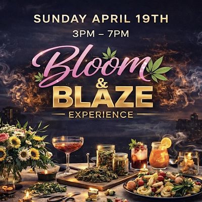 She Counts Bloom & Blaze Experience