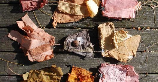 Intro to natural dyeing: Plant dyes and mindful mordants