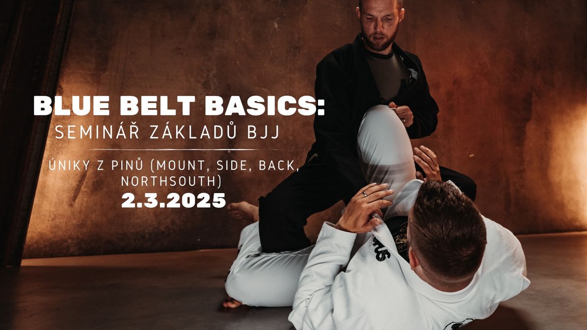 Blue belt basics : \u00daniky z pin\u016f (mount, side, back, northsouth)