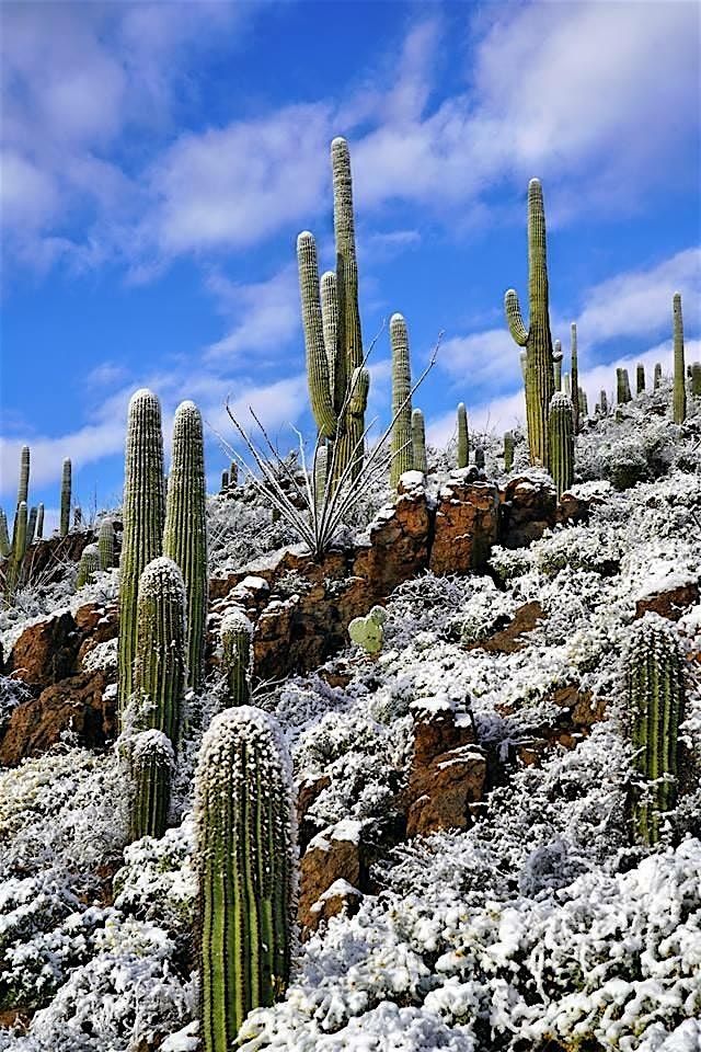 The University of Arizona 2024 Grunewald-Blitz Interprofessional Workshop