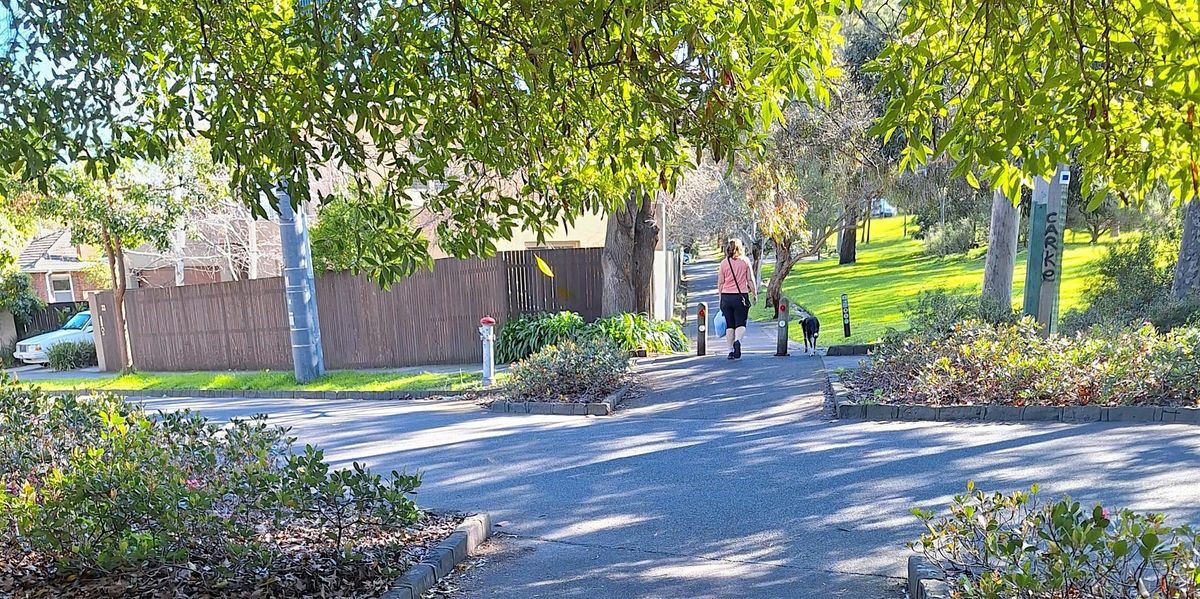 Women Who Walk, Hawthorn Parklands Twilight walk