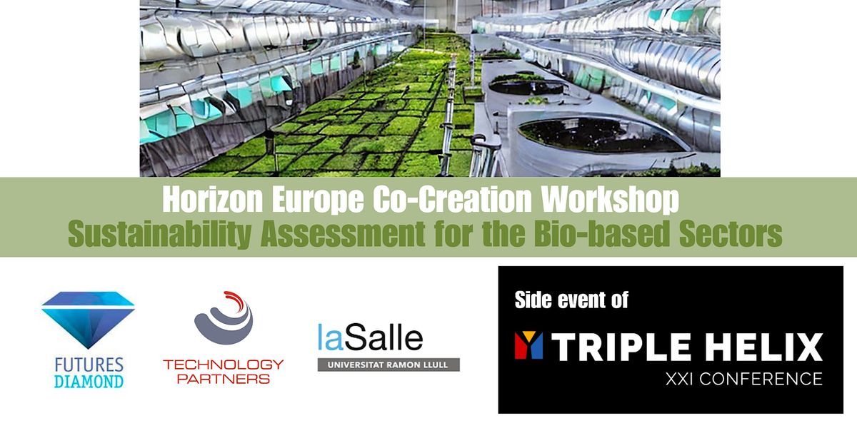 Horizon Europe Co-Creation Workshop: Sustainability for Bio-based Sectors