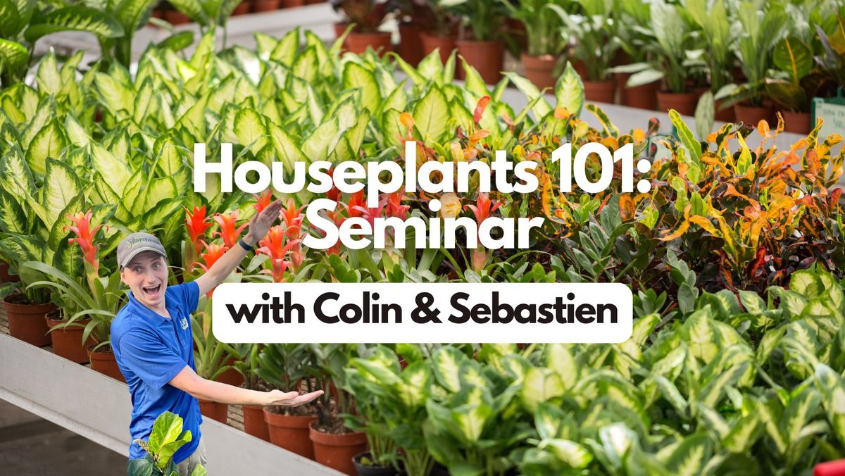 Houseplants 101 Seminar ?