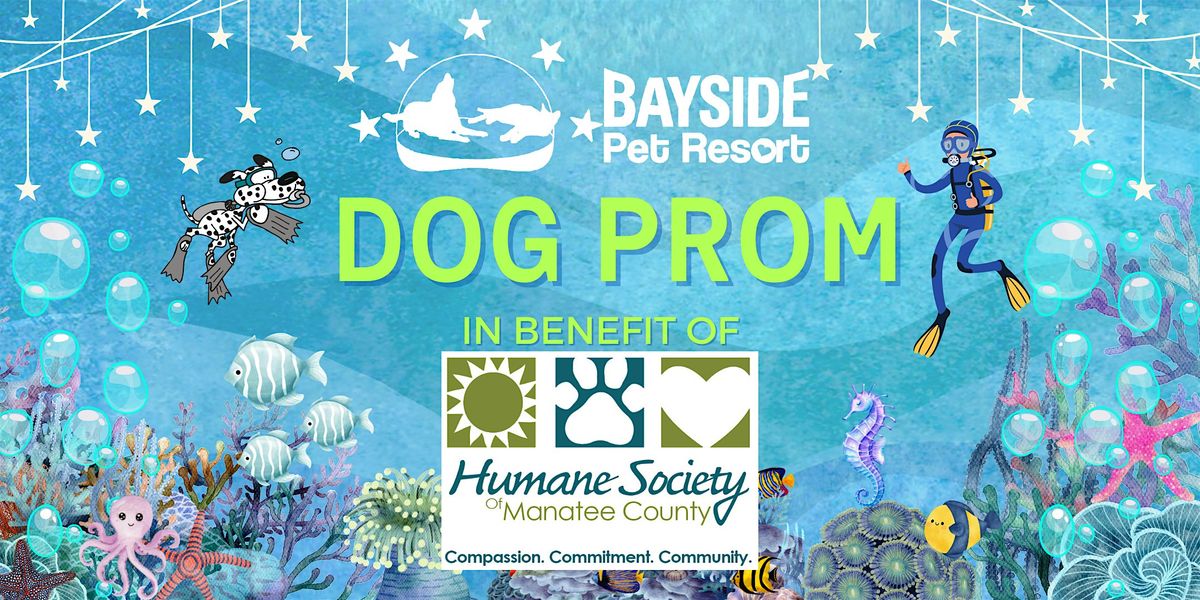 Bayside Pet Resorts' 2024 Dog Prom