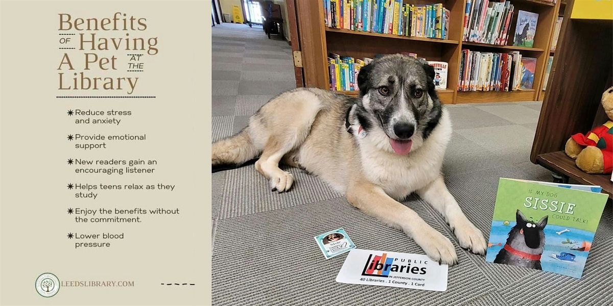 Sensory Bins & Sisie - Calming Activities with a Certified Therapy Dog