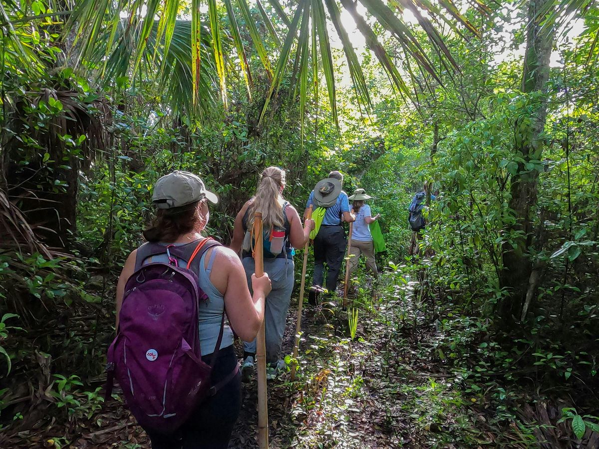 Guided Walk: CREW Cypress Dome Trails (White Trail)