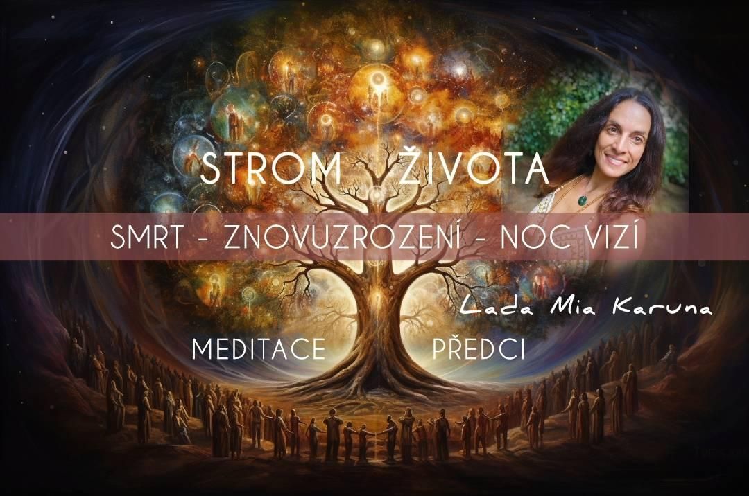 STROM \u017dIVOTA II. - Smrt - Znovuzrozen\u00ed - Noc viz\u00ed - Meditace P\u0159edci - Cacao a Rape Ceremony