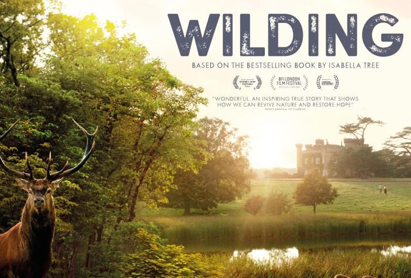 WILDING (PG) 1hr 18m MATINEE 4PM