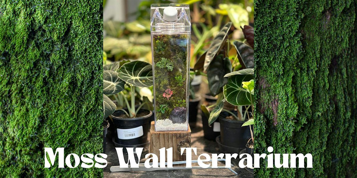 Moss Wall Terrarium