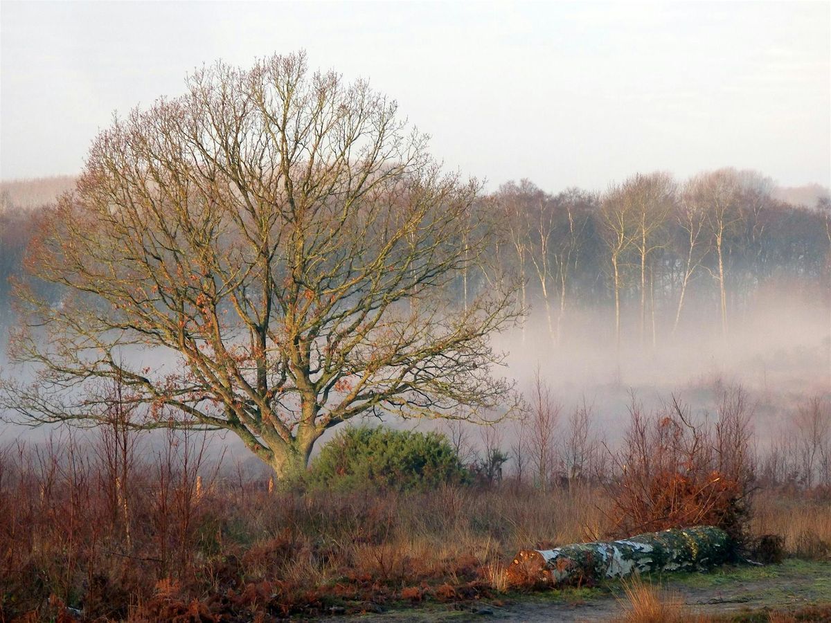 Wilder Kent Safari: Autumn at Hothfield