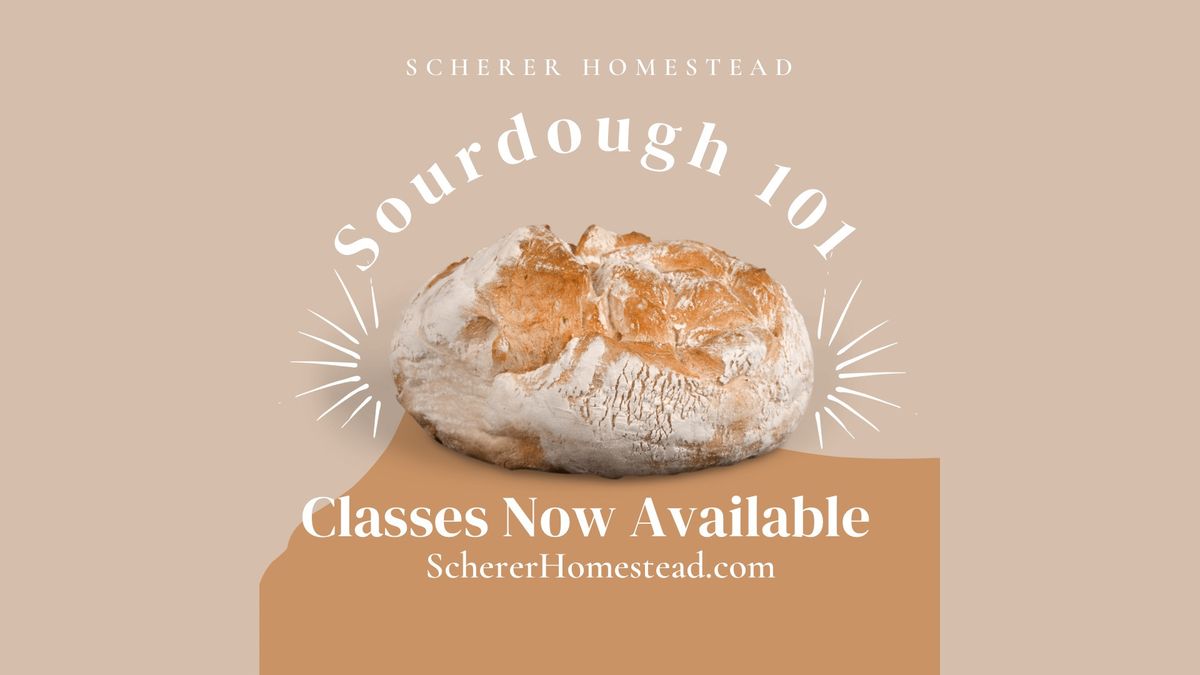 Sourdough 101 Class - July 27th 2024