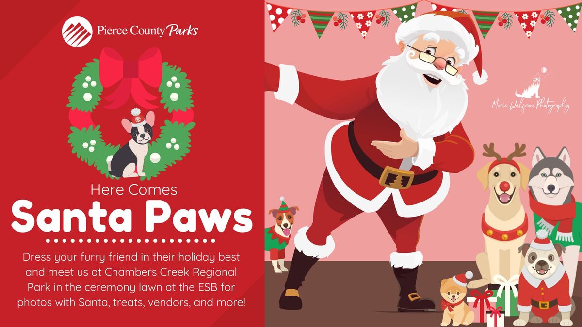 Santa Paws \ud83d\udc3e\ud83c\udf85\ud83c\udf81