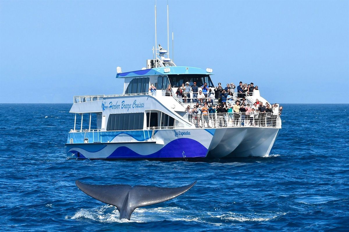 Weekend\/Holiday Long Beach Whale Watch and Dolphin Tour