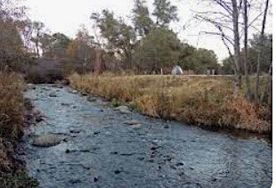 Secret Ravine Volunteer Spawning Survey