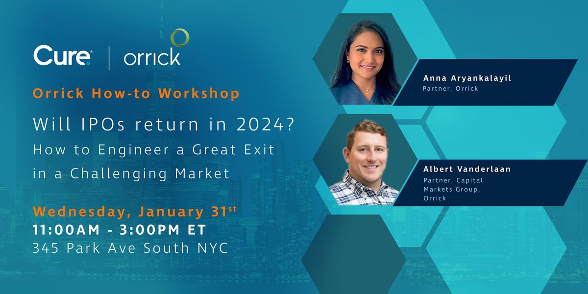 Will IPOs Return in 2025?, 345 Park Ave South, New York, 31 January 2025