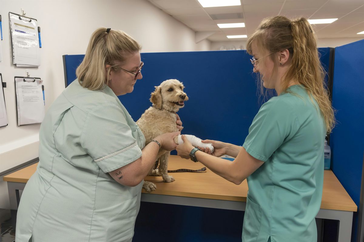 Mock OSCE Day 24th January 2025