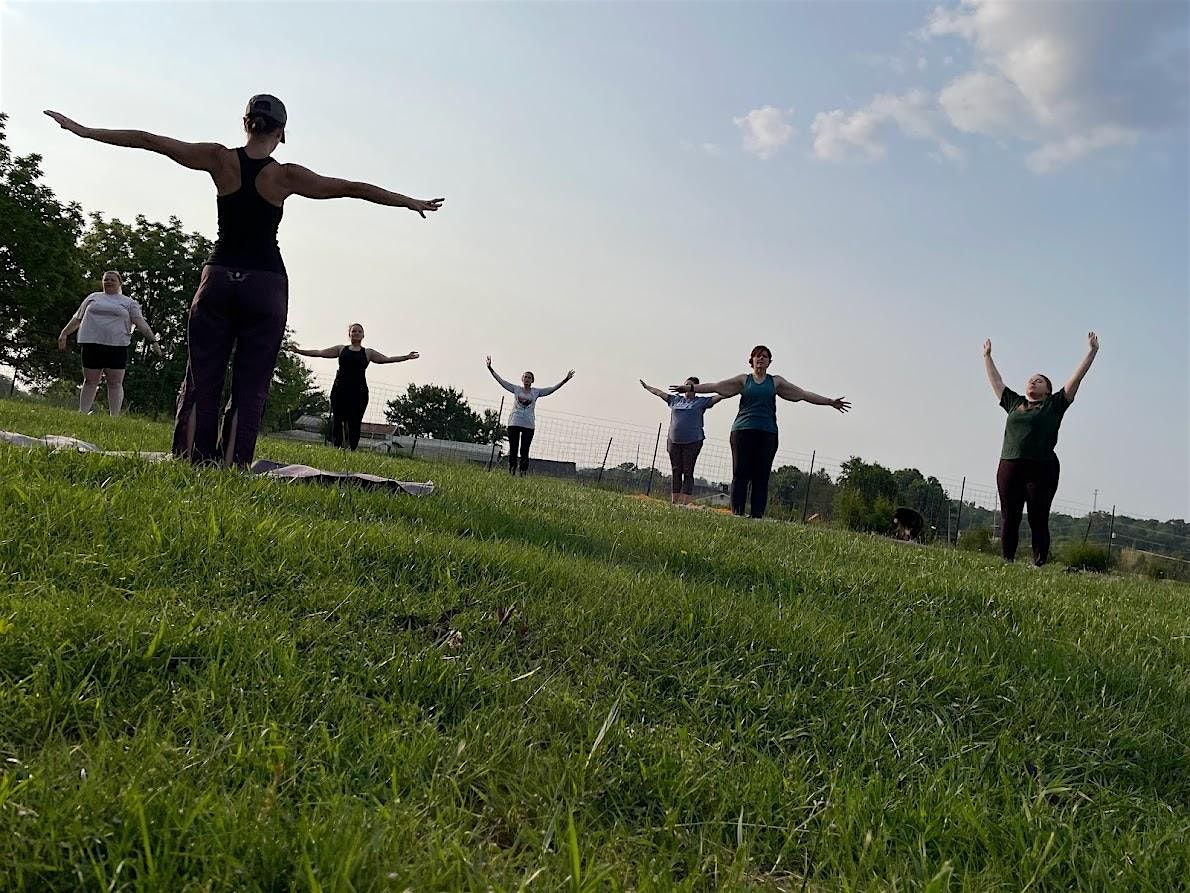 Yoga with the Alpacas