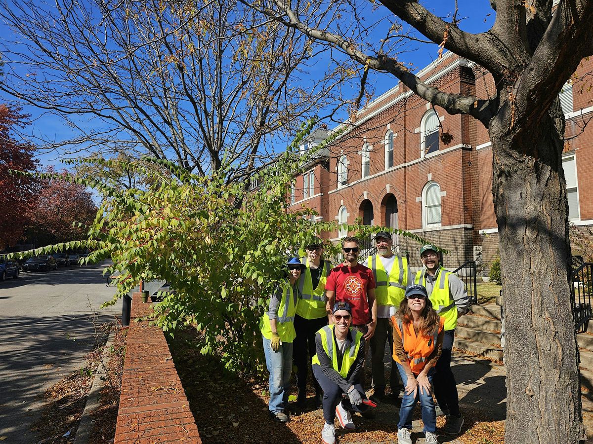 Forest Park Southeast Neighborhood Tree Care Blitz