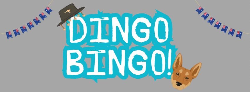 Dingo, Bingo!