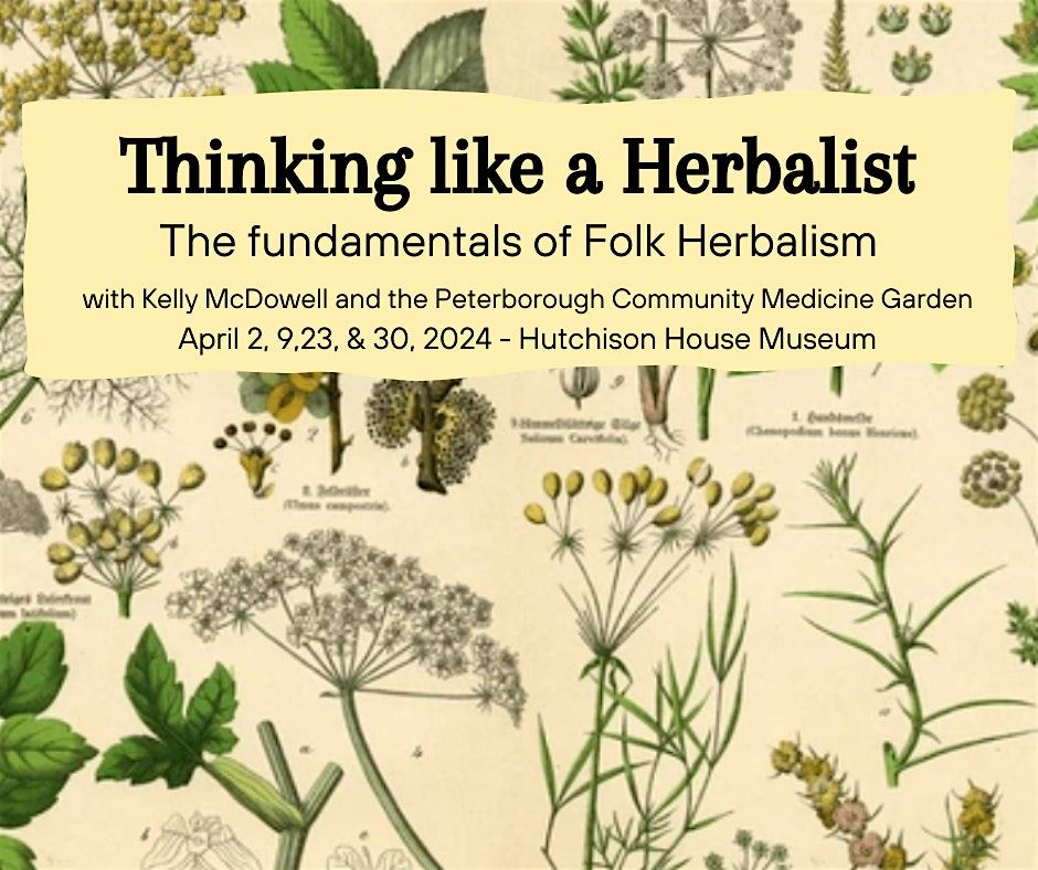 Thinking like a Herbalist: The fundamentals of folk herbalism