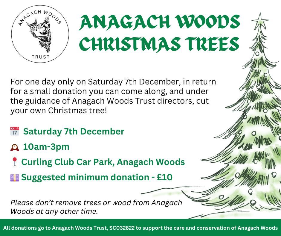 Cut your own Christmas Tree with Anagach Woods Trust \ud83c\udf32