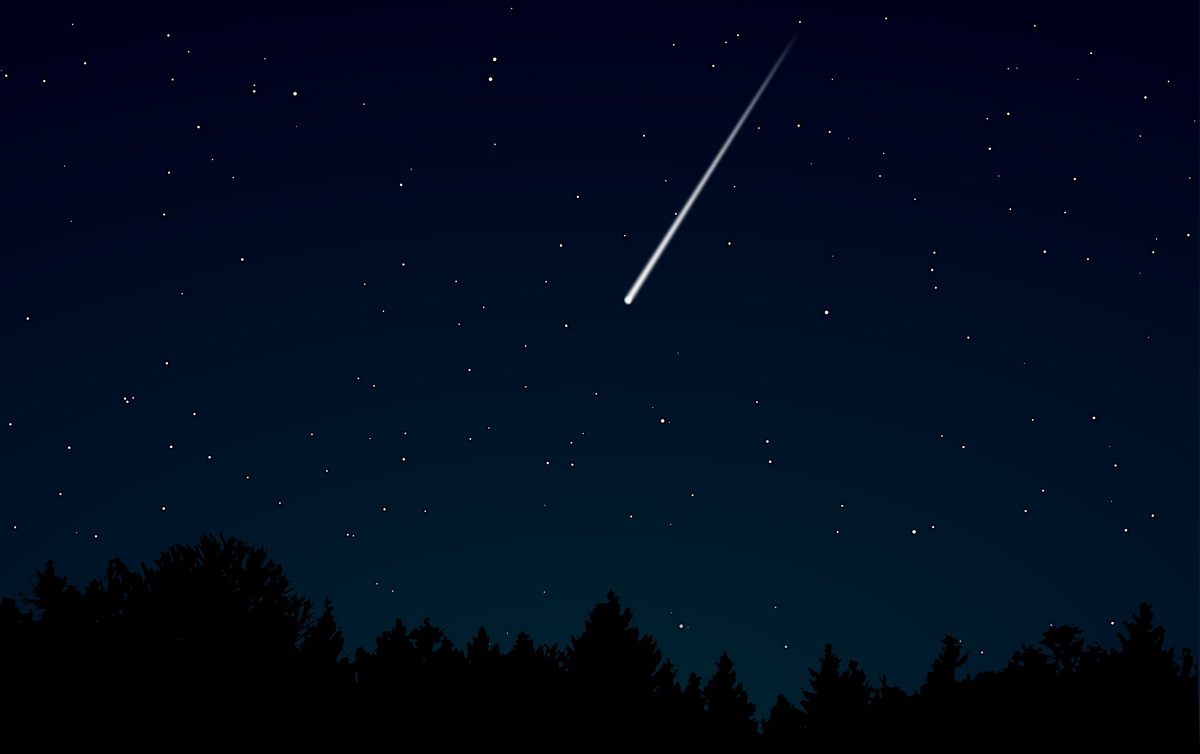 Meteors on the Meadow: Geminids