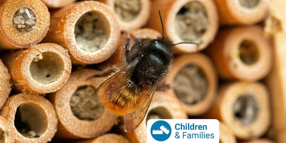 Bee Hotel Workshop at Deer Park Library