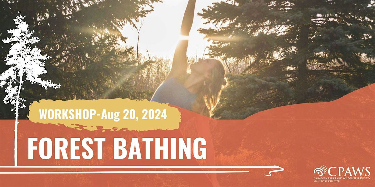 Forest Bathing and Mindfulness Workshop