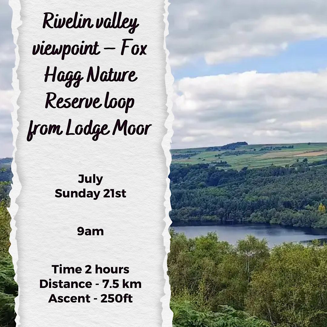 Social walk - Rivelin valley viewpoint - Fox Hagg Nature reserve loop