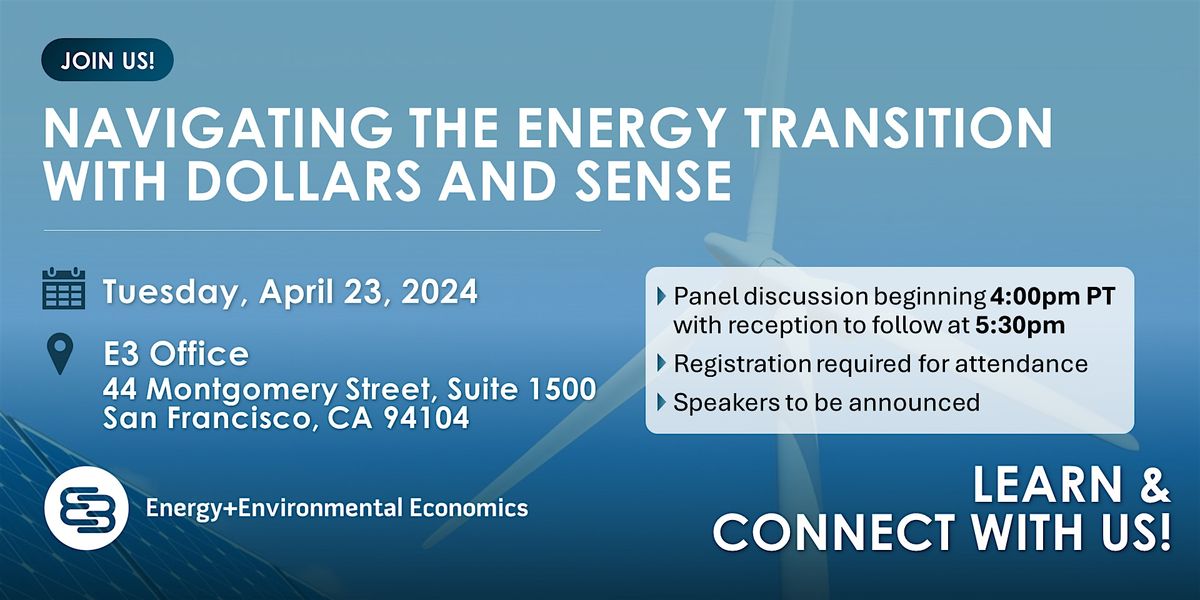 Navigating the Energy Transition with Dollars and Sense
