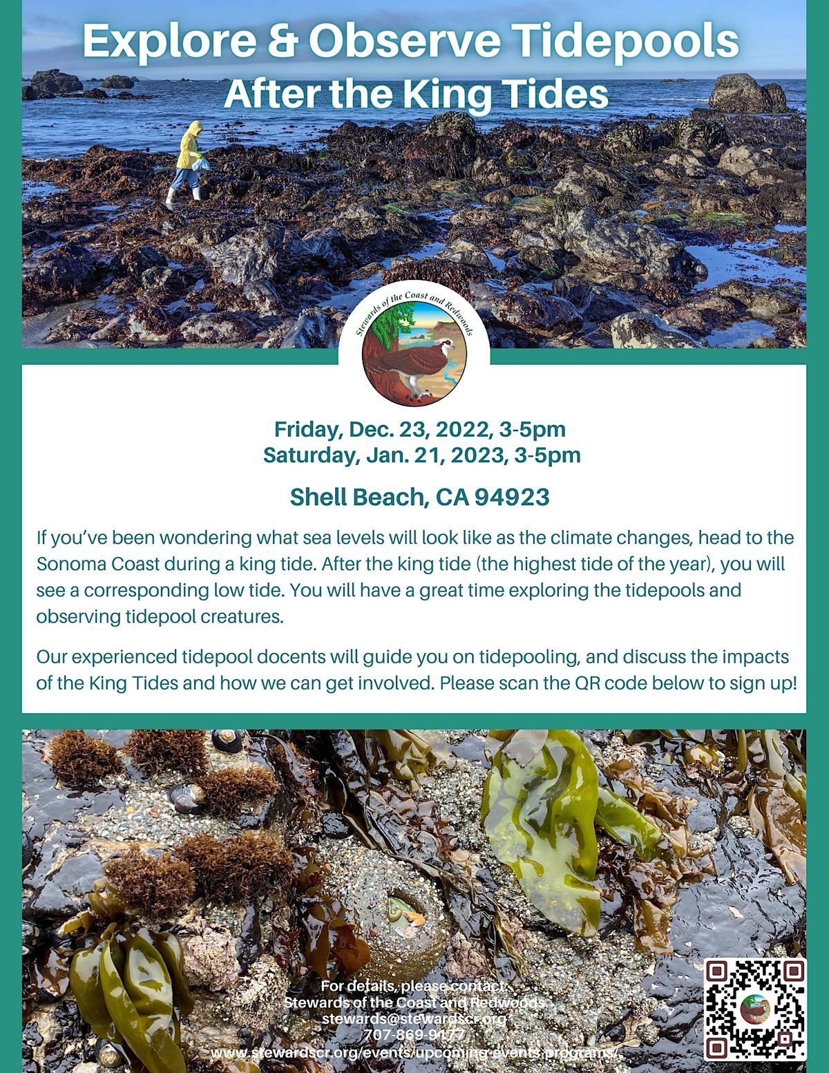 Explore and Observe Tidepools After the King Tides 2023, Shell Beach