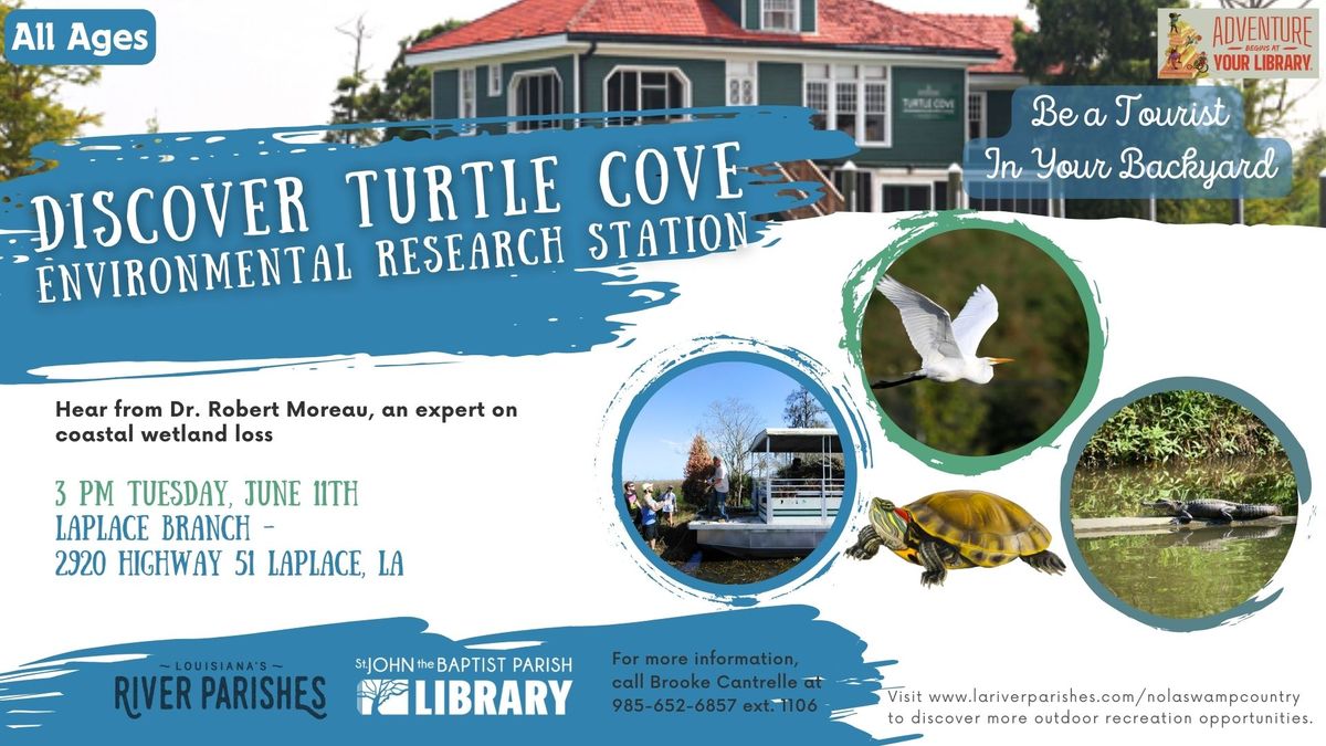 Discover Turtle Cove Environmental Research Station, St. John the ...