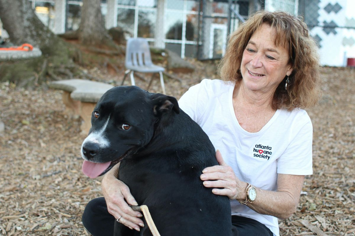 Animal Services, Shelters, and Rescues: What They Are and Why We Need Them