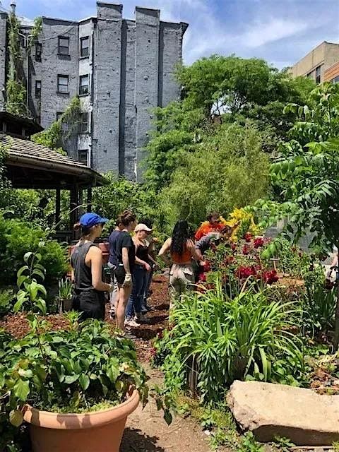 Green Oasis Community Garden Volunteer Day