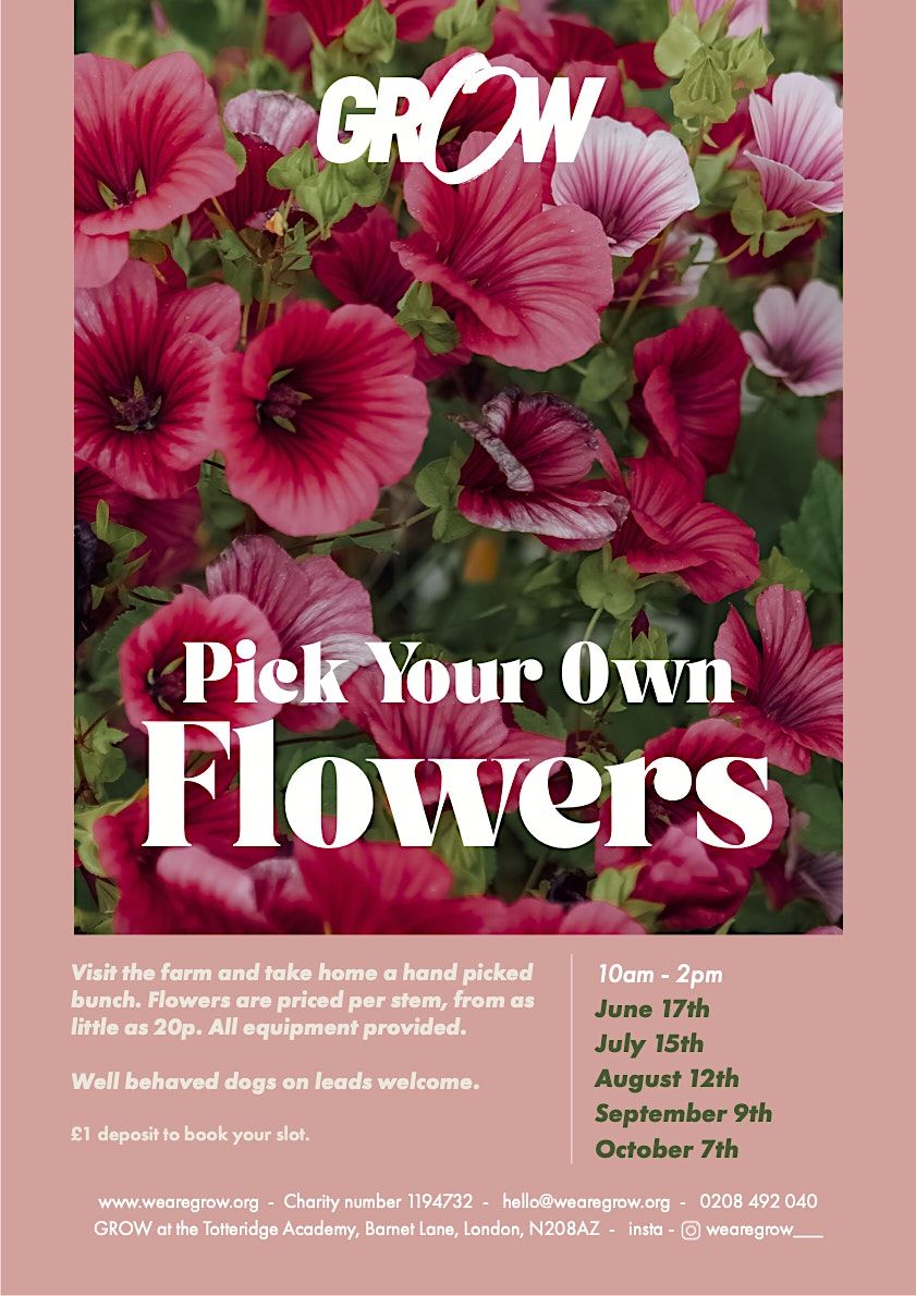 PICK YOUR OWN FLOWERS, The GROW FARM The Totteridge Academy, London, 9 September 2023