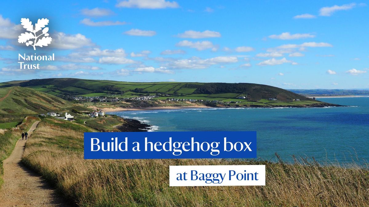 Build a hedgehog box at Baggy Point