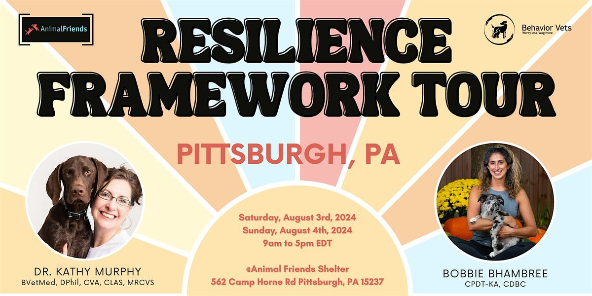 The Resilience Framework - Pittsburgh, PA