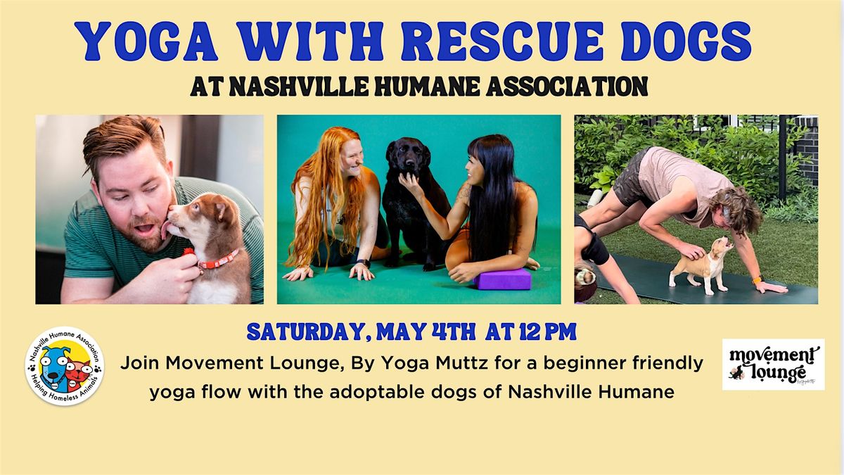 Yoga with Rescue Dogs at Nashville Humane