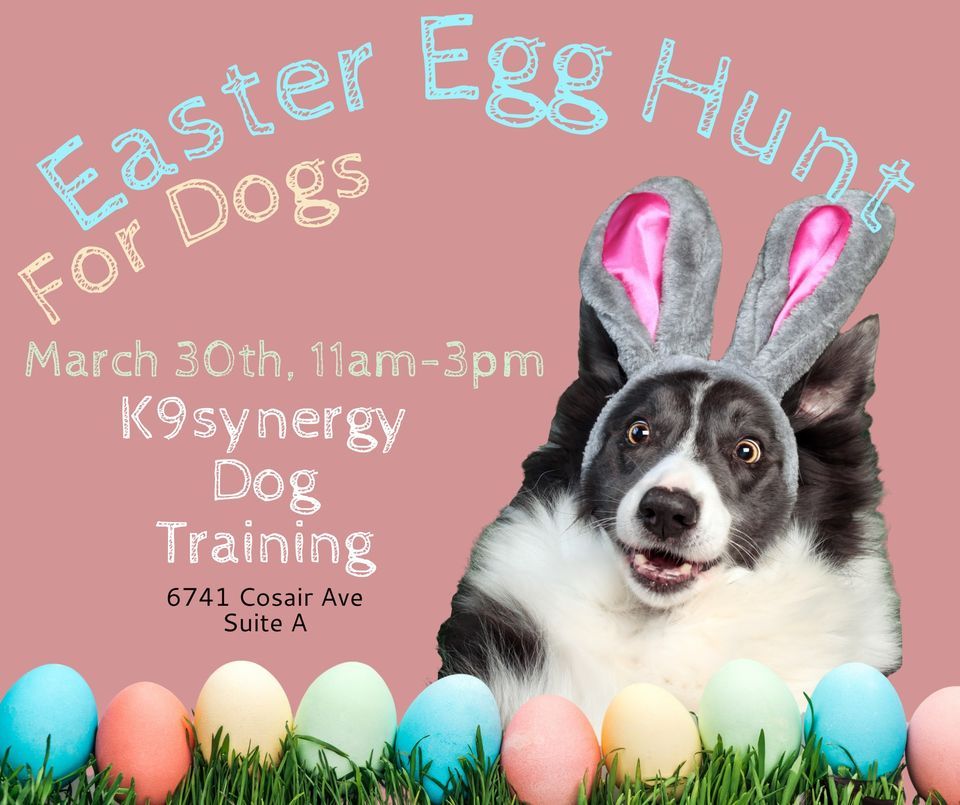 Doggie Easter Egg hunt