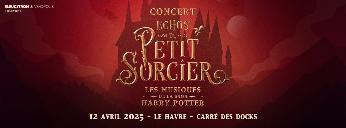 'Echos du Petit Sorcier' concert Harry Potter, @LE HAVRE, Carr\u00e9 des Docks