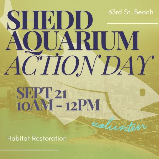 Shedd Aquarium Action Day 