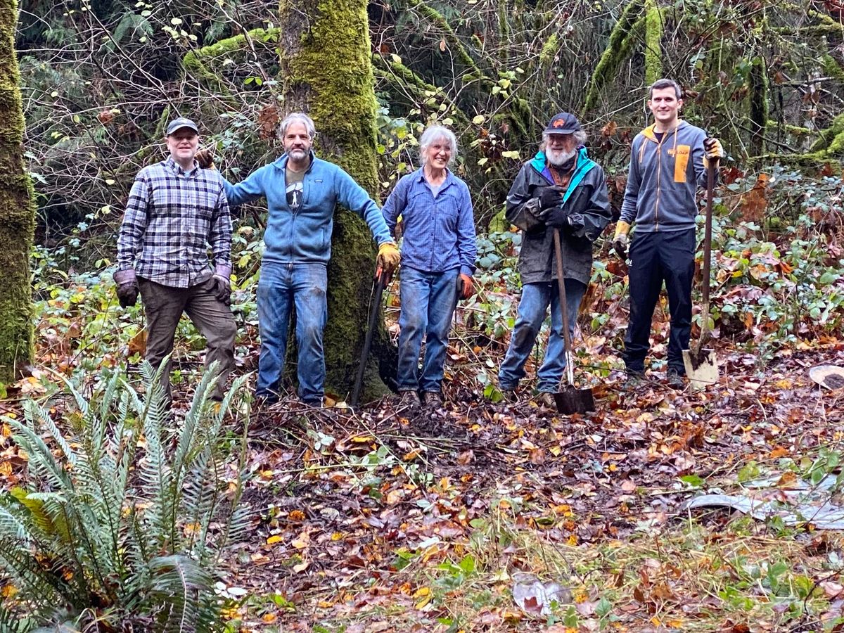 Green Issaquah: Restoration Work Party at Park Pointe